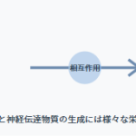 脳と栄養の密接な関係