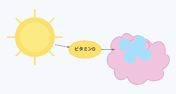 なぜビタミンDがメンタルヘルスに関わるの？